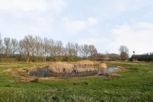 Woonhuis te koop Landfort 105 Lelystad