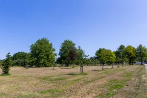 Woonhuis te koop Cypergrasweg 7 Almere