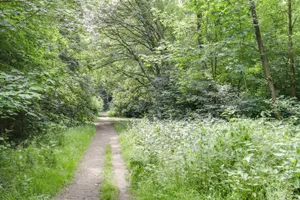 Woonhuis te koop Rozengaard 13 16 Lelystad