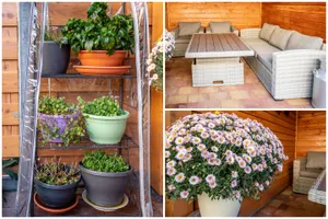 Woonhuis te koop Horst 29 85 Lelystad