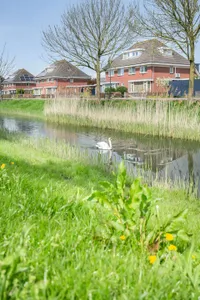 Woonhuis te koop Pauwenburg 136 Lelystad
