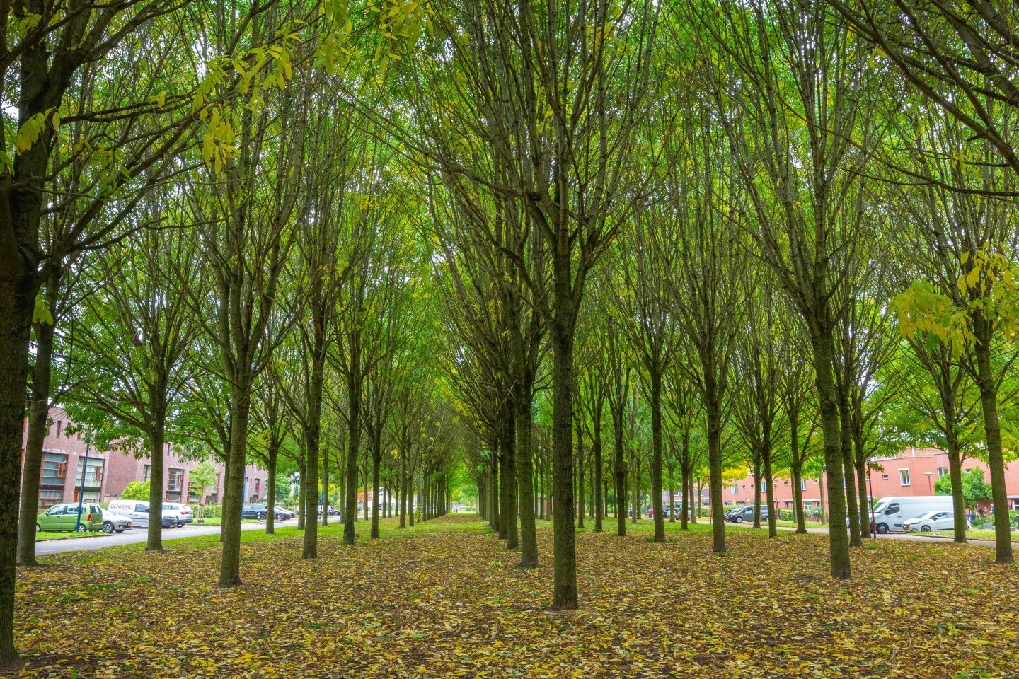 Woonhuis te koop Rijnland 147 Lelystad