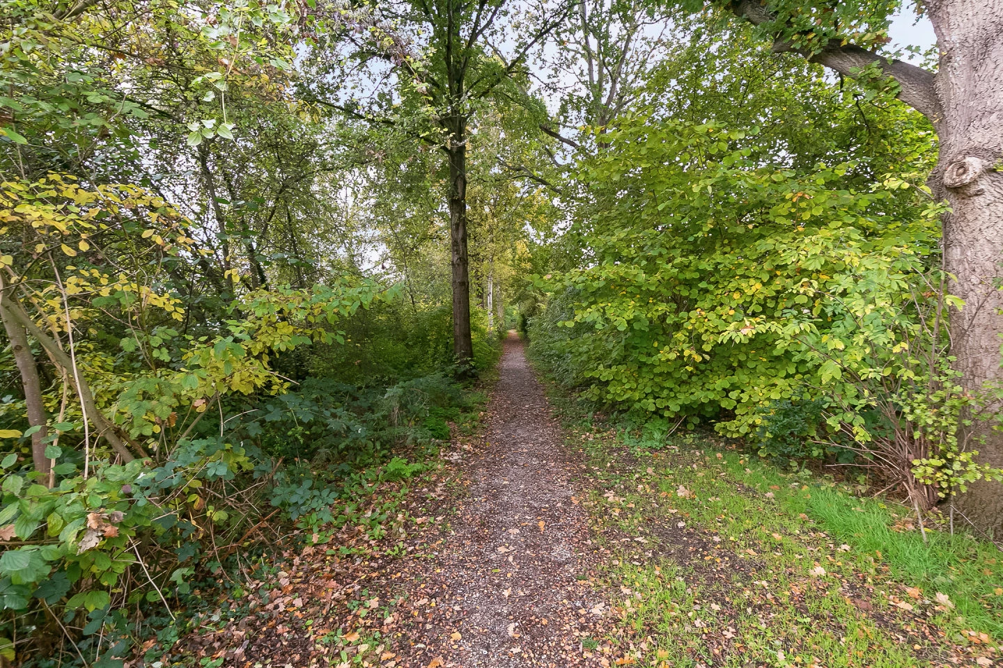 Woonhuis te koop Bongerd 72 Lelystad