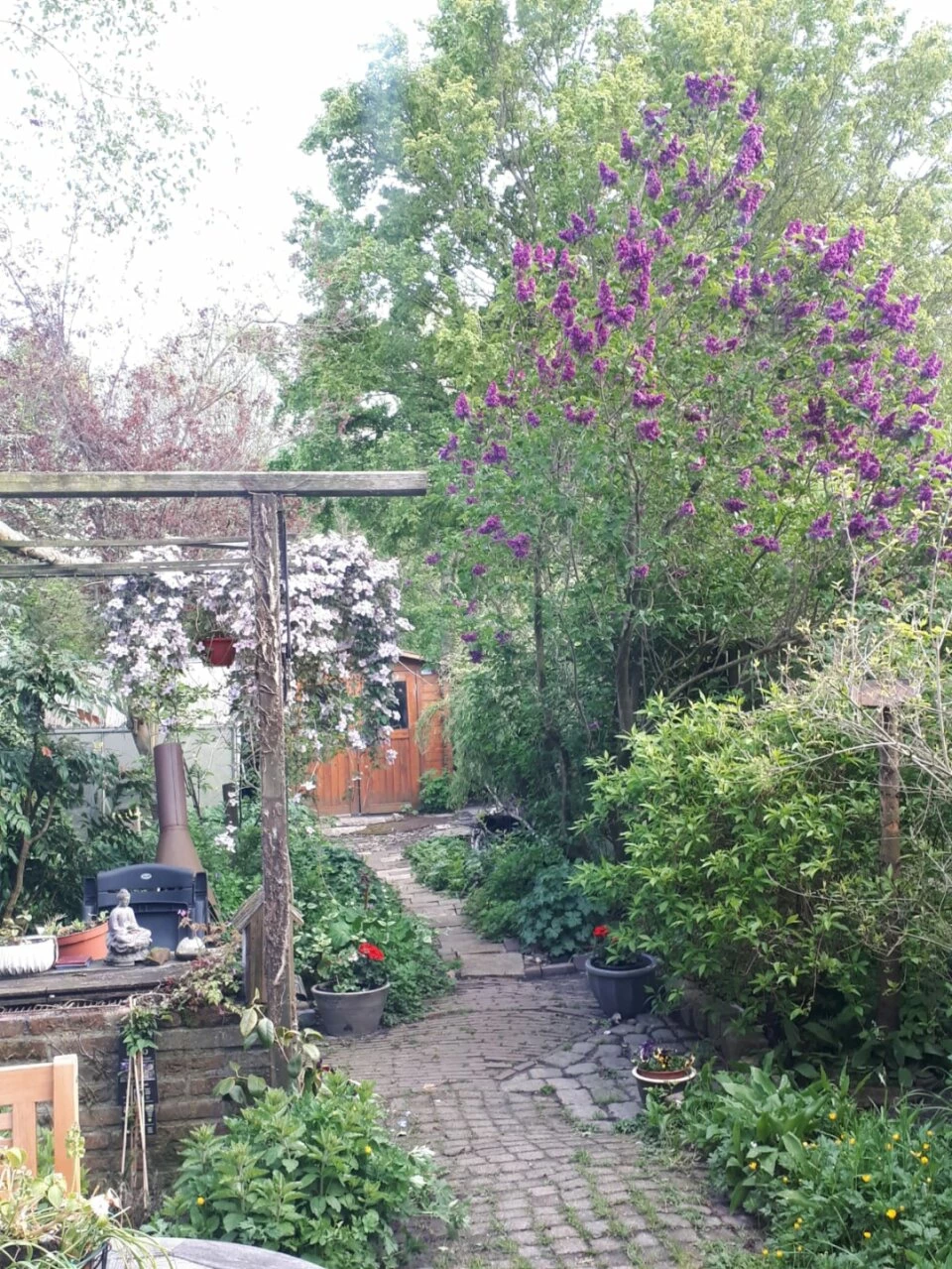 Woonhuis te koop Galjoen 14 8 * Lelystad