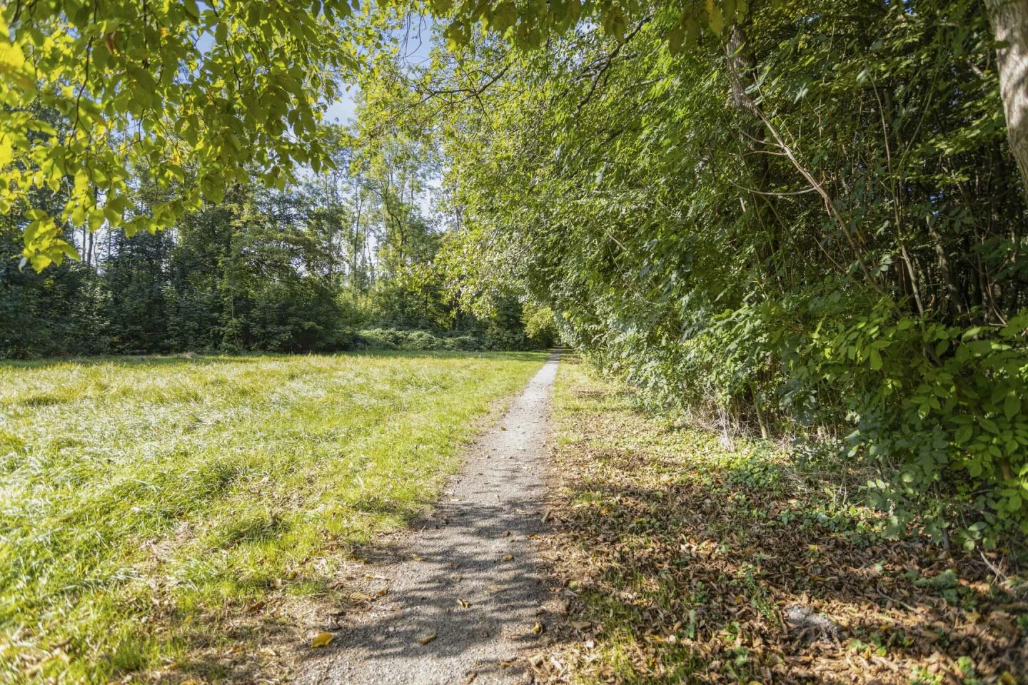 Woonhuis te koop Zoom 13 5 Lelystad