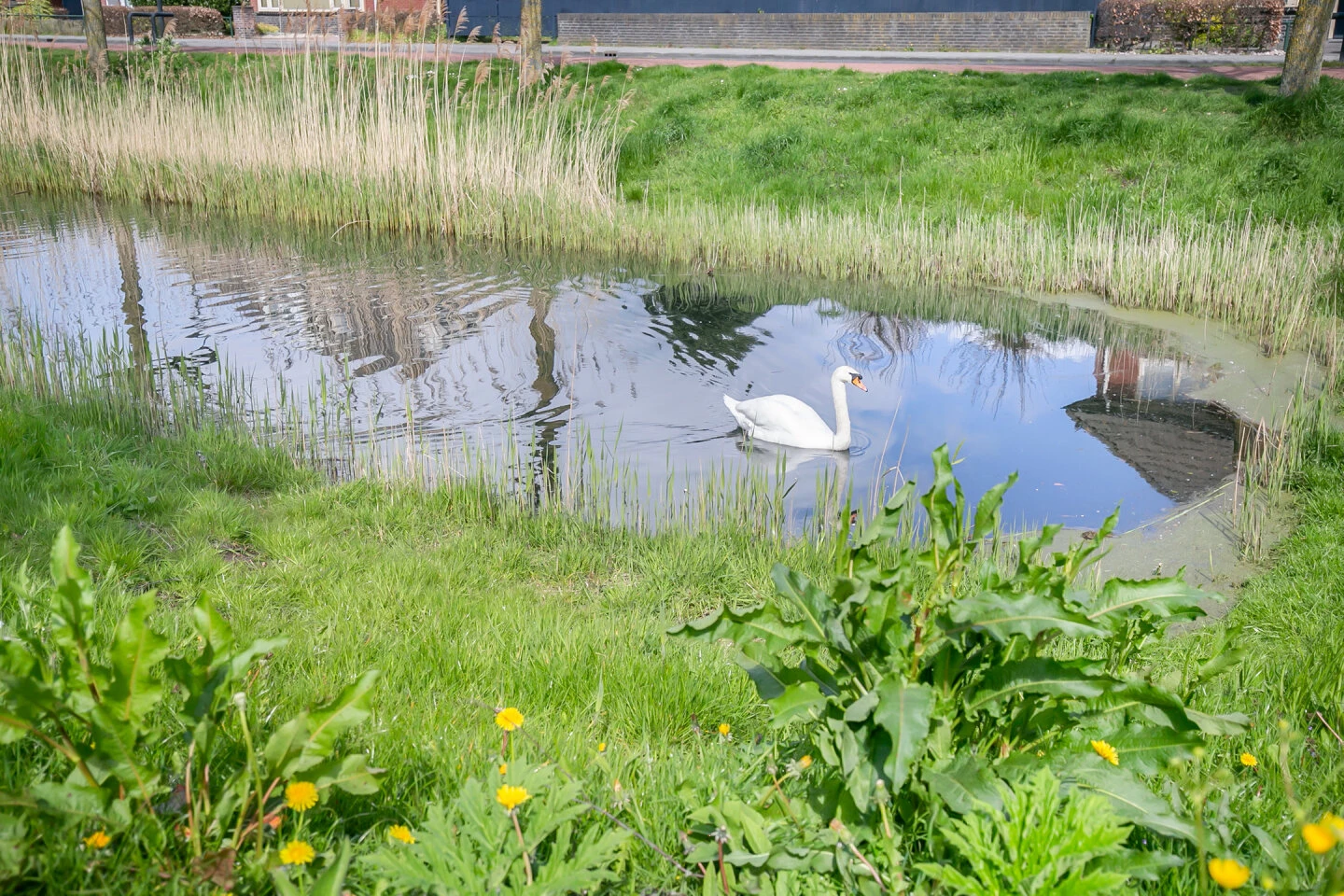 Woonhuis te koop Pauwenburg 136 Lelystad