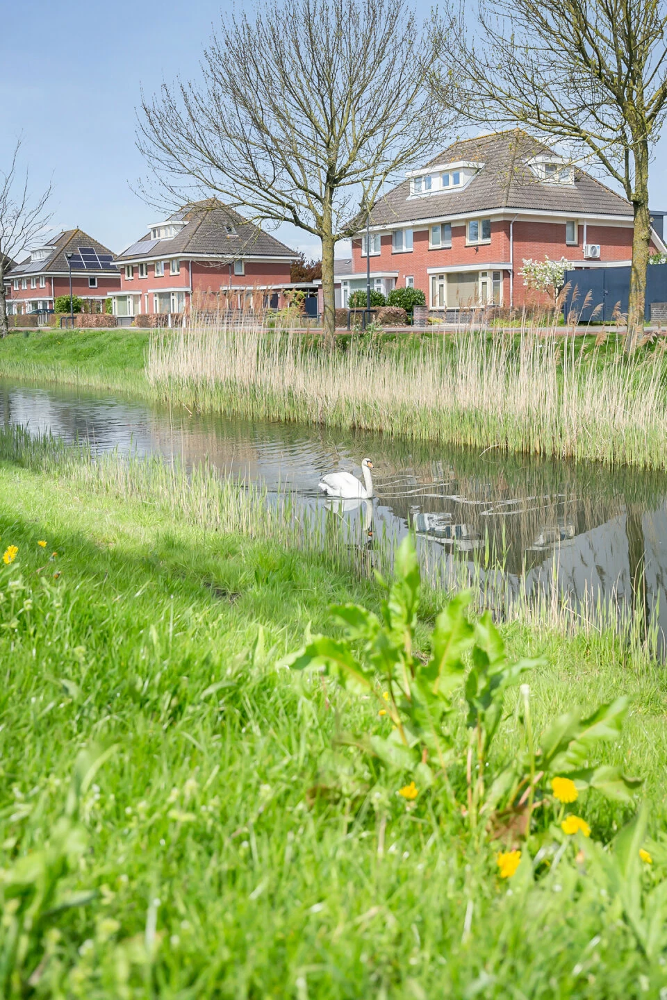 Woonhuis te koop Pauwenburg 136 Lelystad