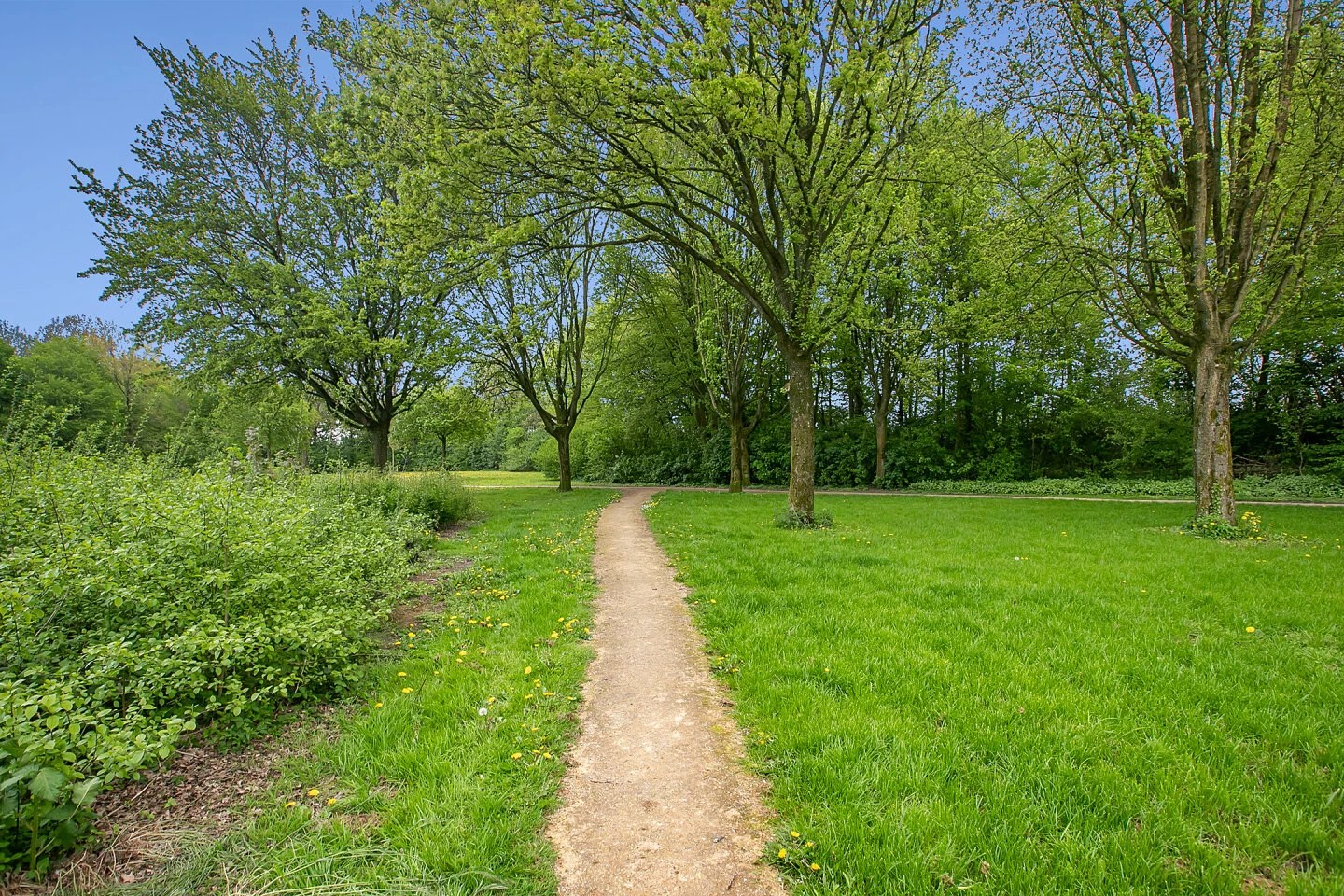 House for sale Melisse 50 Dronten