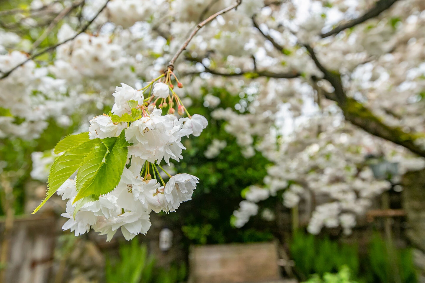 House for sale Melisse 50 Dronten